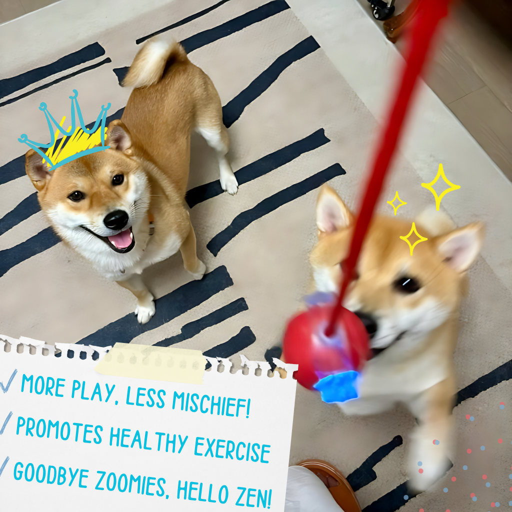 FetchiWalker™