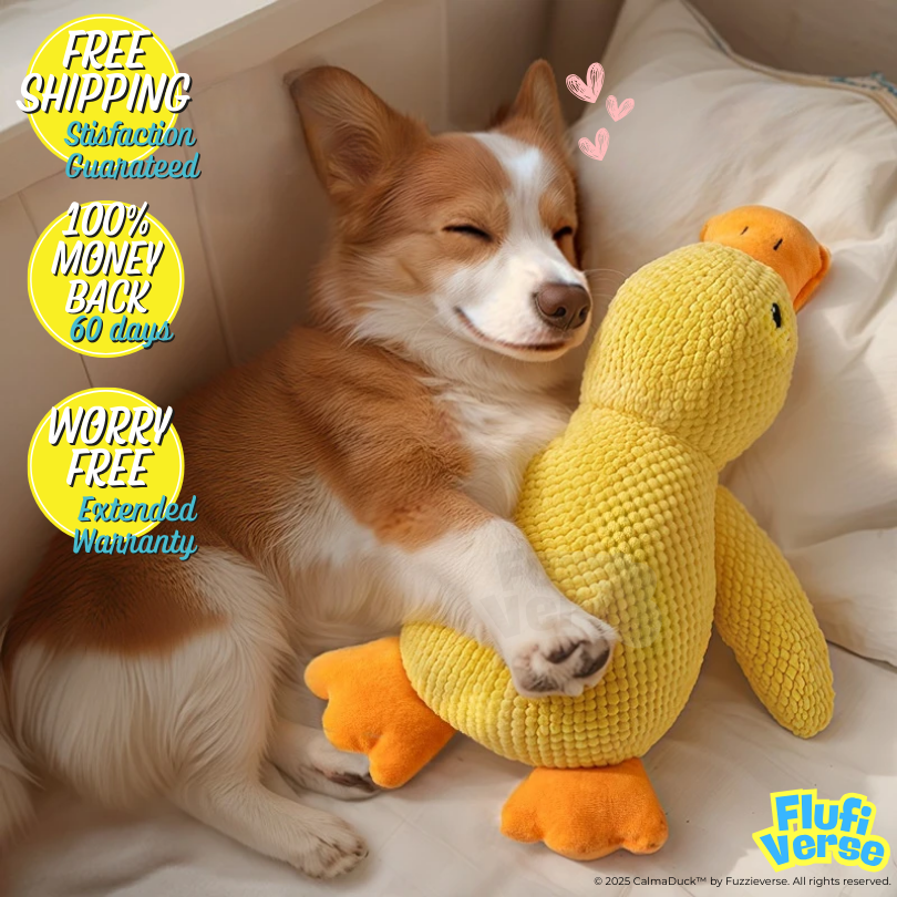 🎁 FREE: CalmaDuck™ - Comfort. Play. Repeat