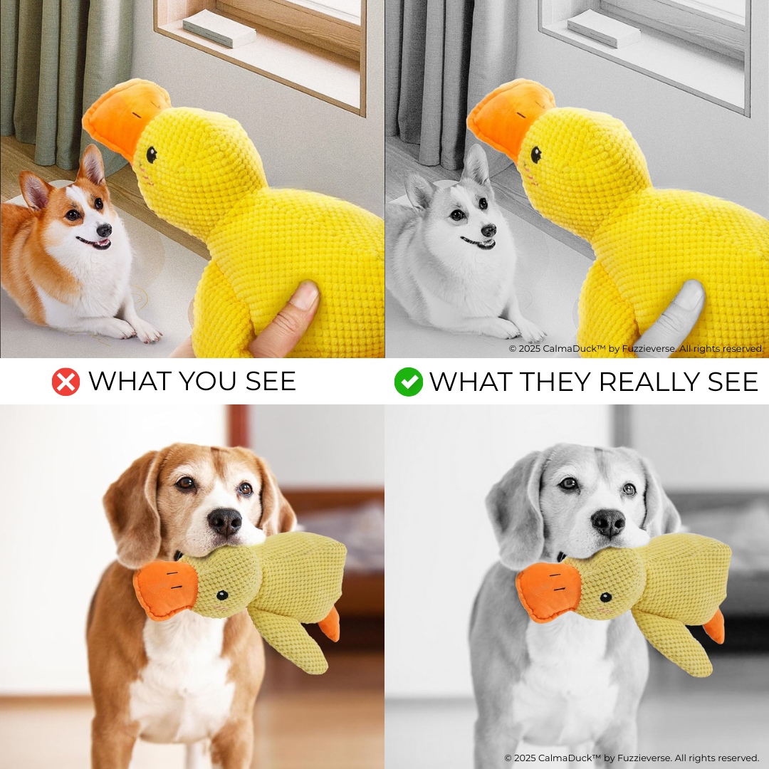 🎁 FREE: CalmaDuck™ - Comfort. Play. Repeat