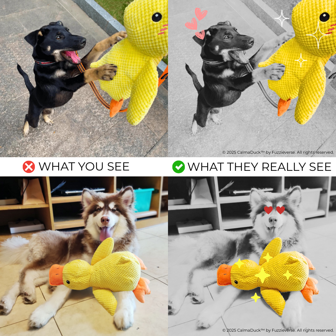 🎁 FREE: CalmaDuck™ - Comfort. Play. Repeat