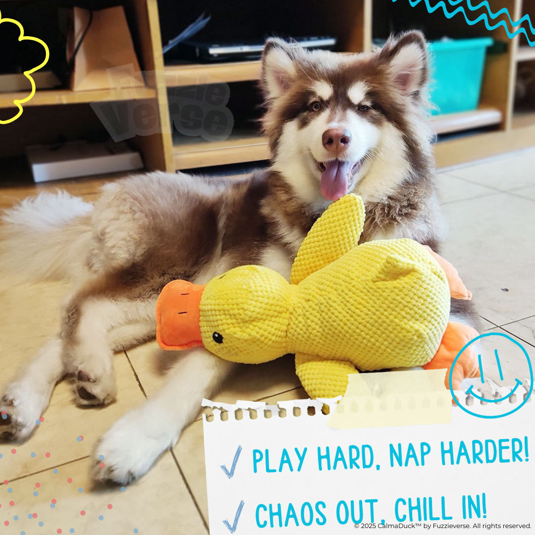 🎁 FREE: CalmaDuck™ - Comfort. Play. Repeat