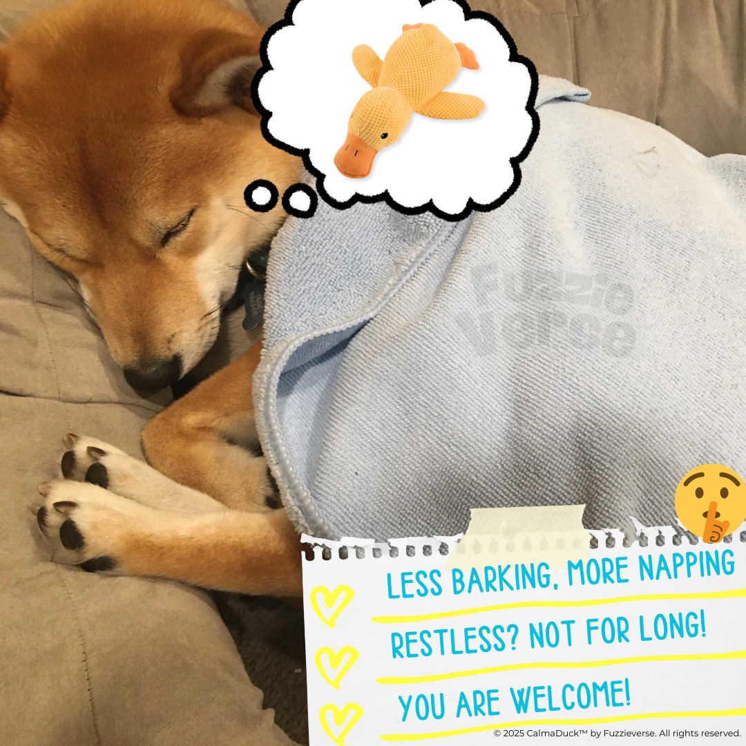 🎁 FREE: CalmaDuck™ - Comfort. Play. Repeat