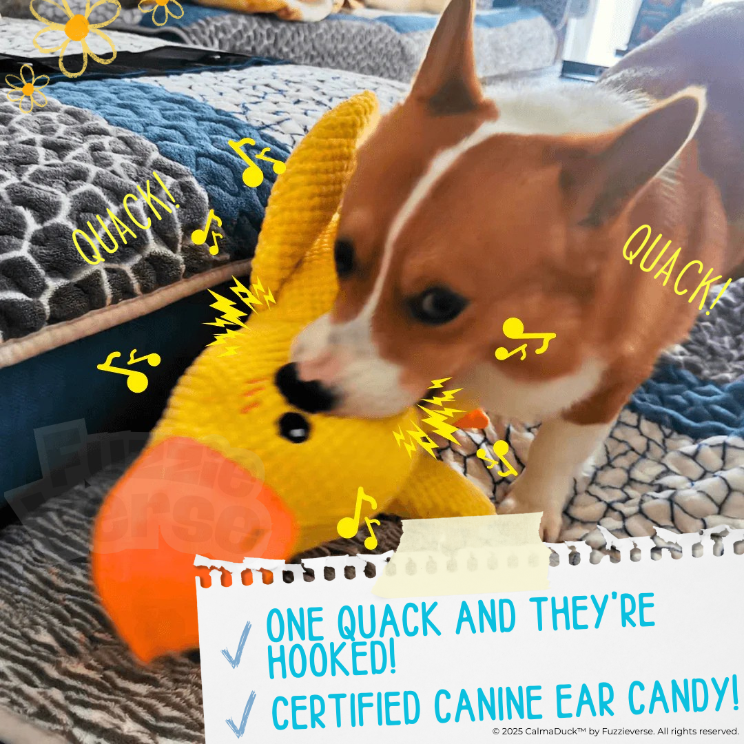 🎁 FREE: CalmaDuck™ - Comfort. Play. Repeat