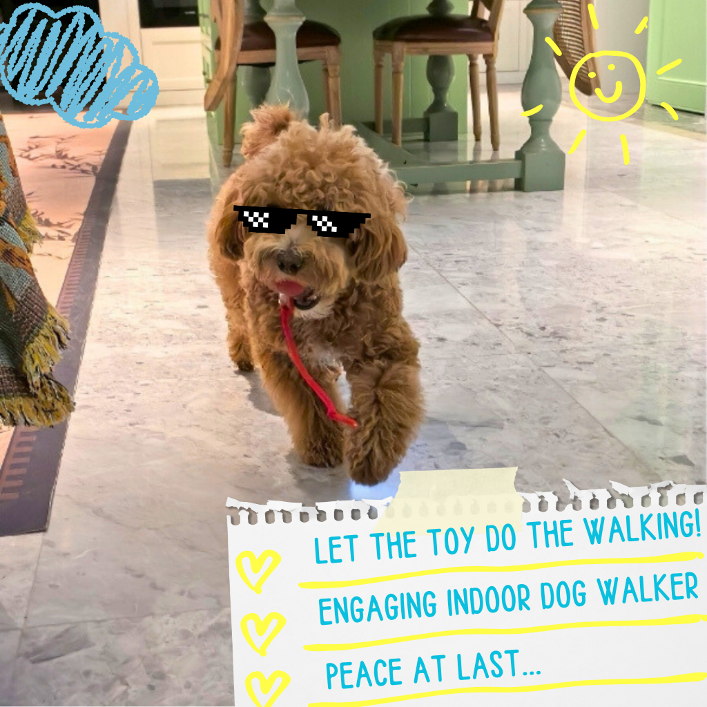 FetchiWalker™