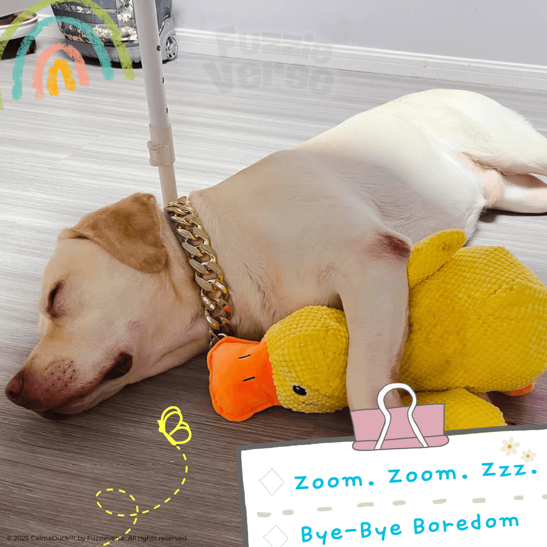 🎁 FREE: CalmaDuck™ - Comfort. Play. Repeat