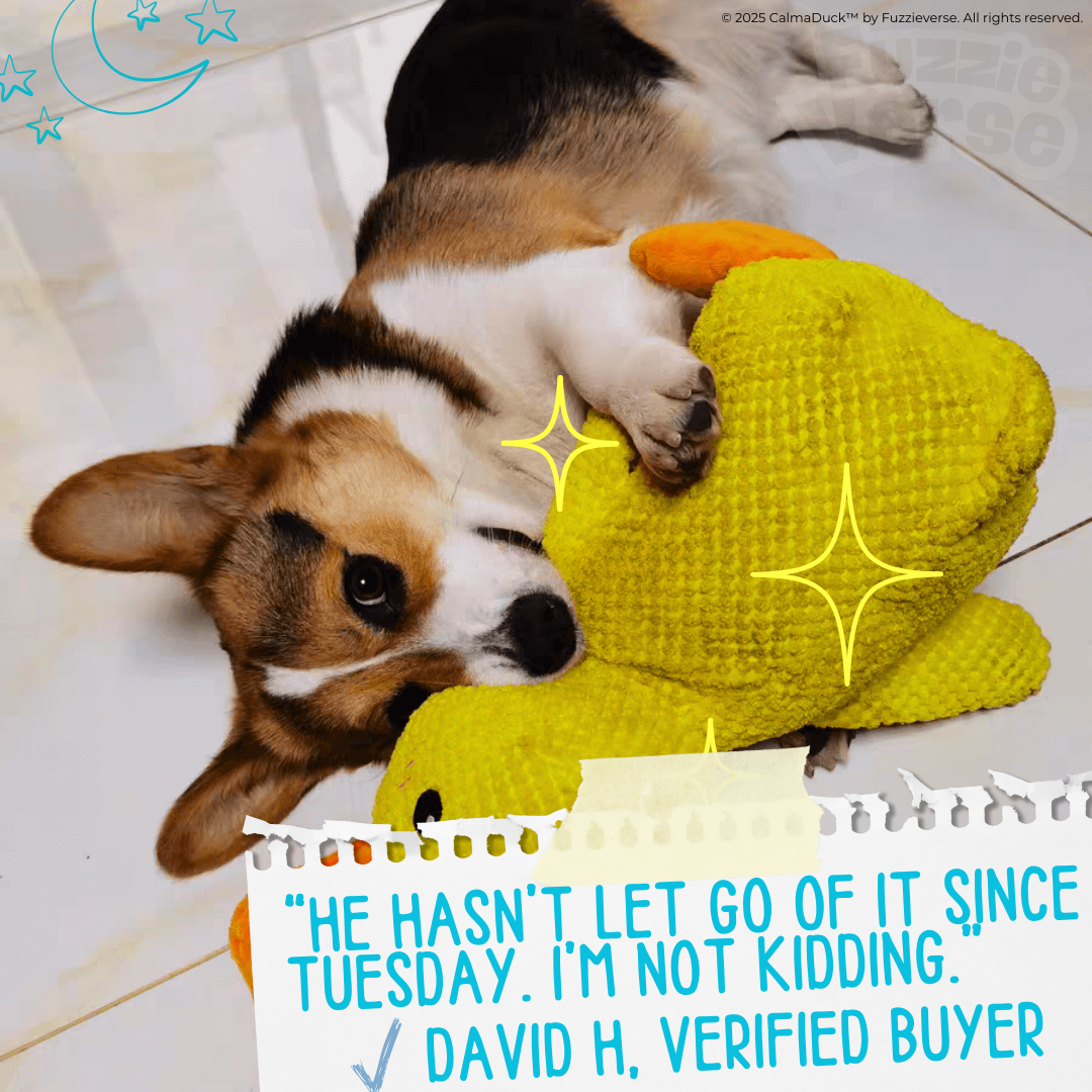 🎁 FREE: CalmaDuck™ - Comfort. Play. Repeat