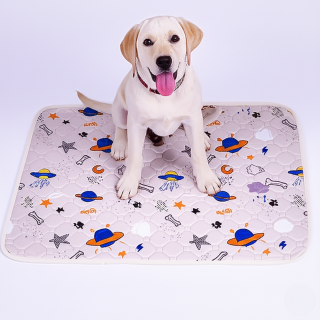 EverPad™ - Premium Washable Potty Pad