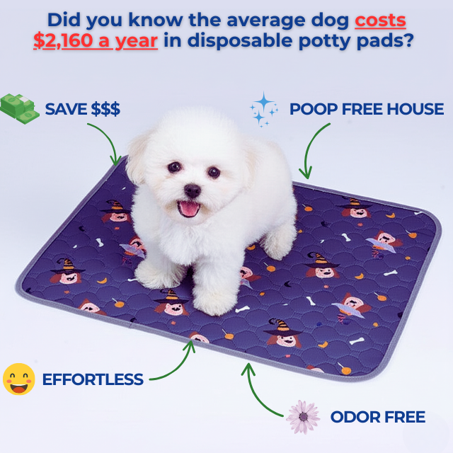 EverPad™ - Premium Washable Potty Pad✨