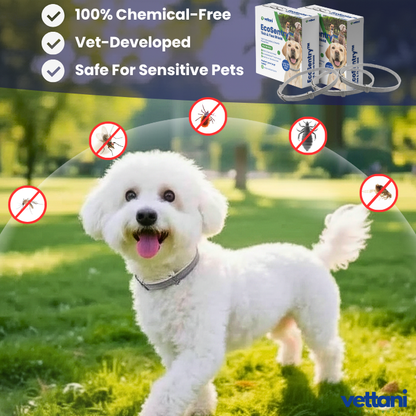 EcoSentry™ - Guard Your Faithful Companion 100% Naturally.