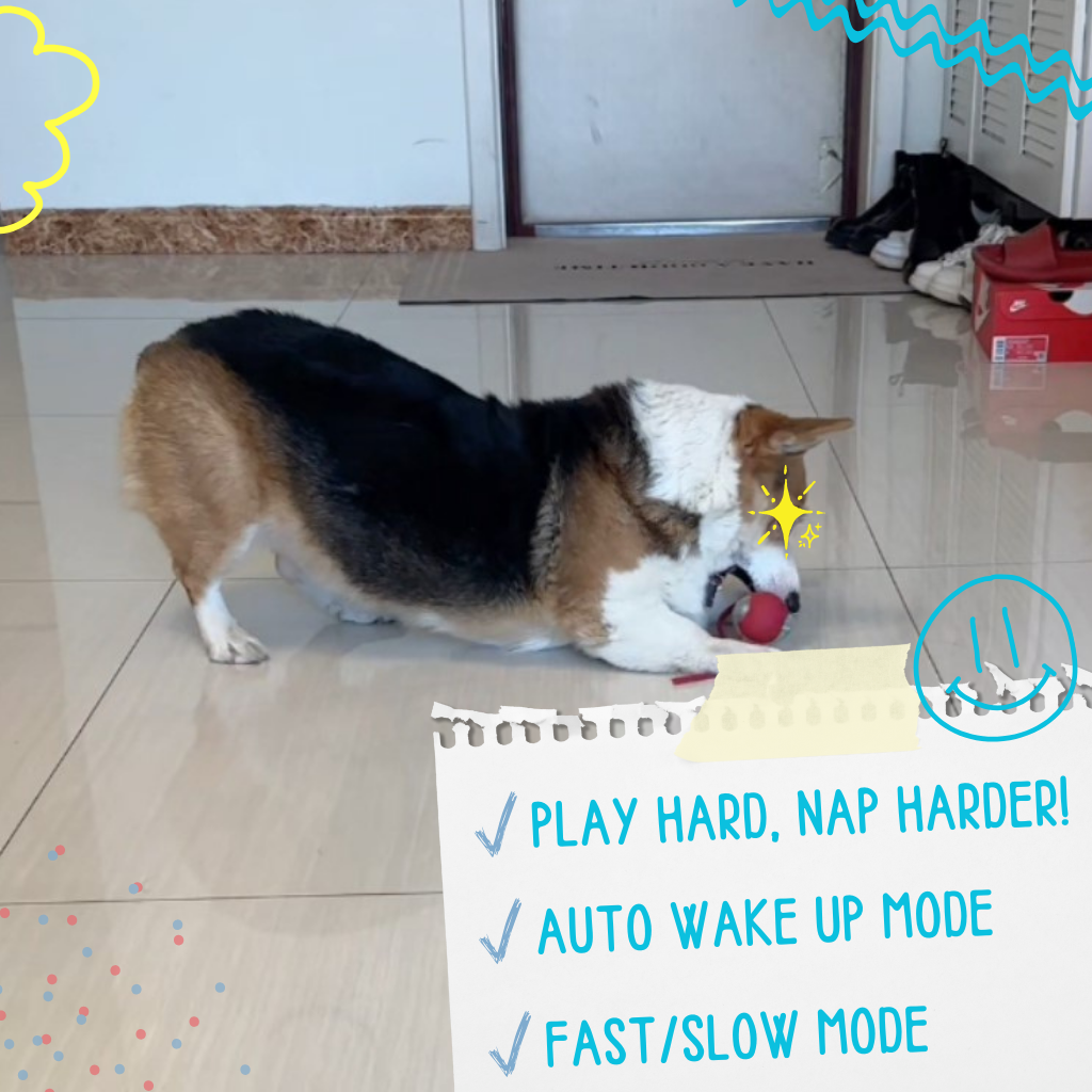 FetchiWalker™