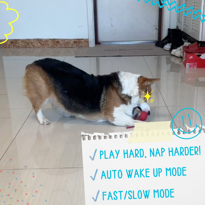 FetchiWalker™