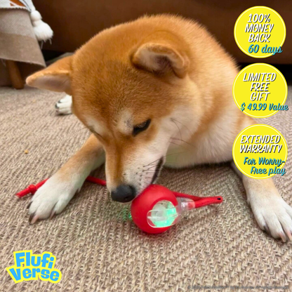 FetchiWalker™