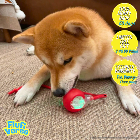 FetchiWalker™