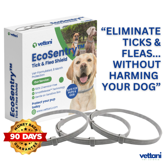EcoSentry™ - Guard Your Faithful Companion 100% Naturally.