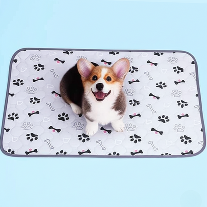 EverPad™ - Premium Washable Potty Pad