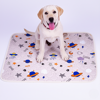 EverPad™ - Premium Washable Potty Pad