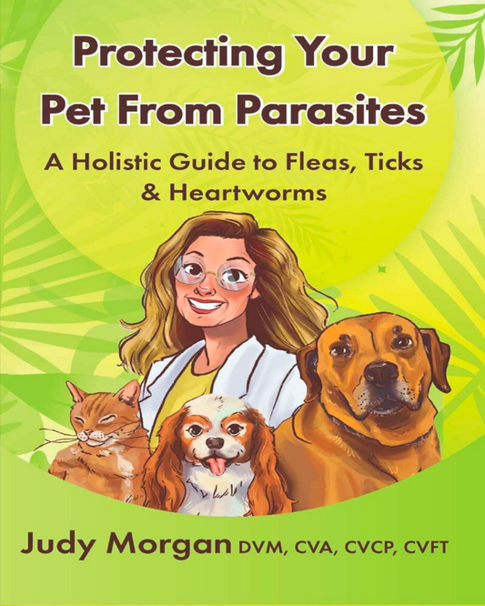 Protecting Your Pet from Parasites. A Holistic Method Guide.