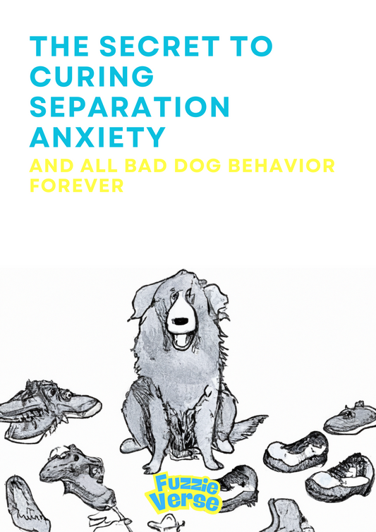 The Secret to Curing Separation Anxiety and All Bad Dog Behavior Forever - Ebook