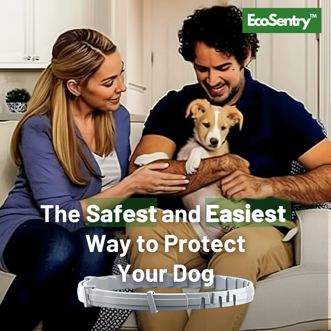 The EcoSentry™ collar in its protective metal tin.