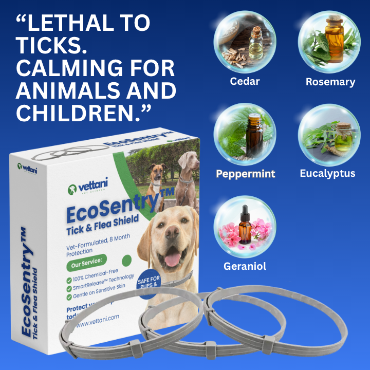 EcoSentry™ - Guard Your Faithful Companion 100% Naturally.