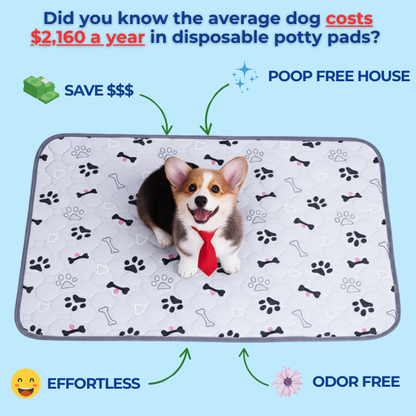 EverPad™ - Premium Washable Potty Pad✨