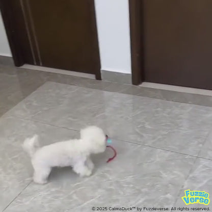 FetchiWalker™