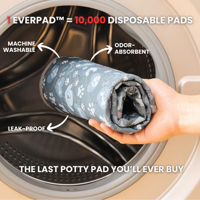 EverPad™ - Premium Washable Potty Pad✨